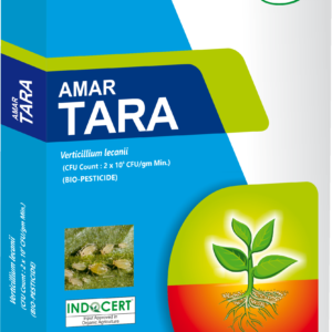 Amar Tara 1KG