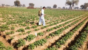 imgi_31_f-activity11