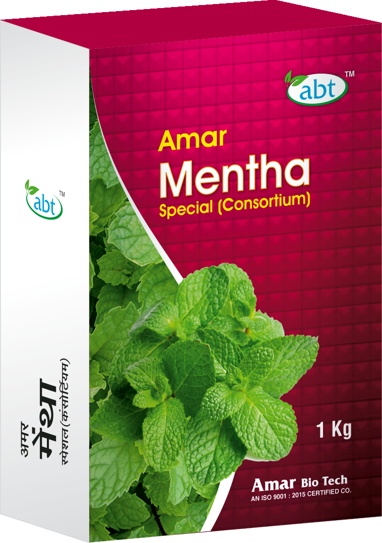 Amar Mentha Special