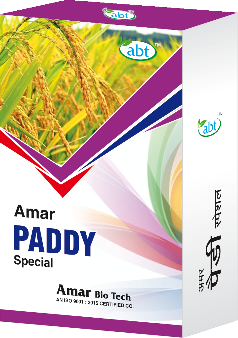 Amar Paddy Special