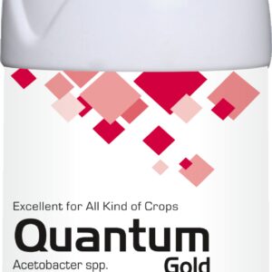 Quantum Gold (Liquid)